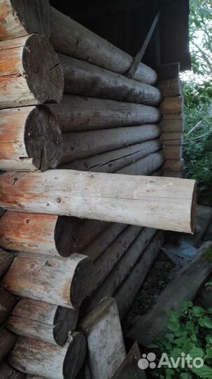 Постройка, сруб бани