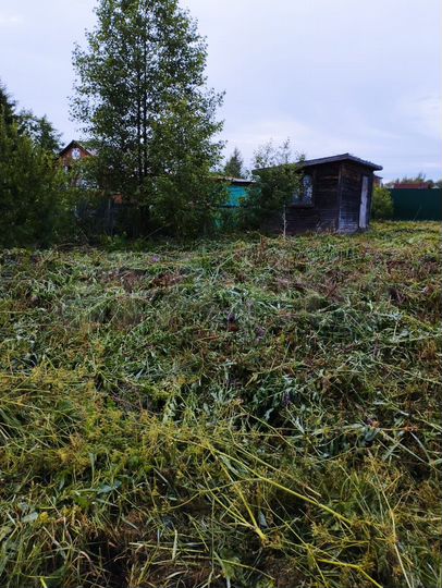 Участок 10,2 сот. (СНТ, ДНП)