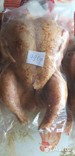 Куры бройлерные, домашние