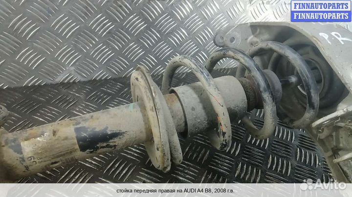 Амортизатор перед/право Audi A4 (8K, B8), 2008 Дизель