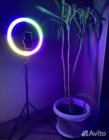 Новая цветная кольцевая лампа