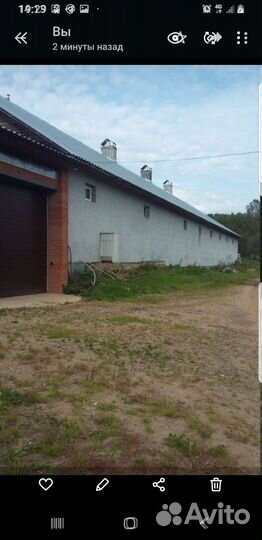 Ищю инвестора агробизнес