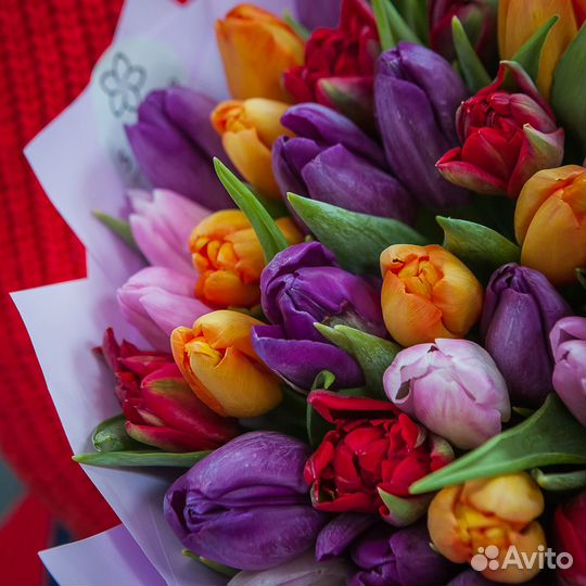 Букет 51 тюльпан микс, цветы доставка