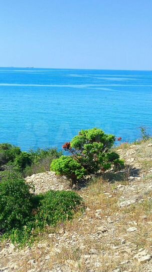 Дом 55 м² на участке 7 сот.