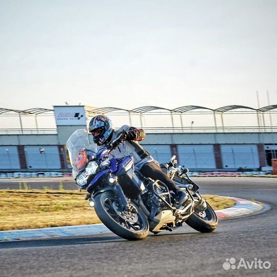 Директор по росту бизнеса Head of Growth