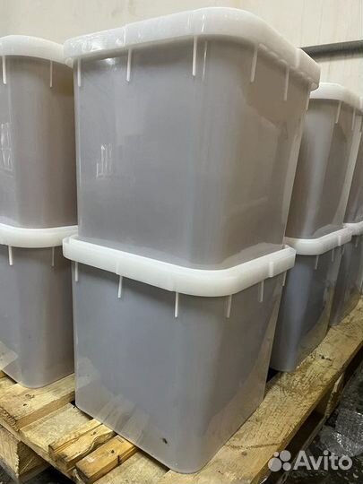 Мед гречишный свежая качка оптом