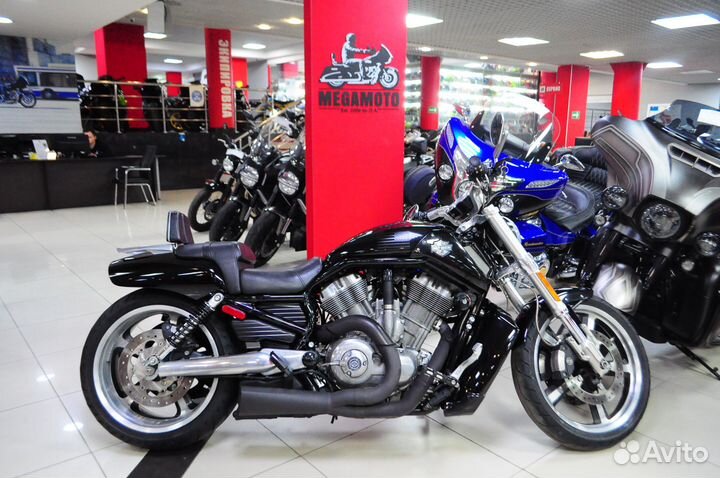 Harley-Davidson V-Rod Muscle