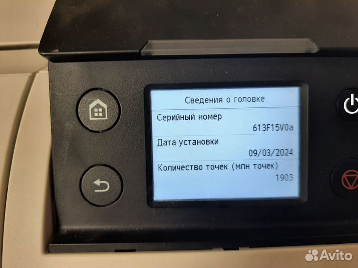 Canon TM-300 широкоформатный принтер