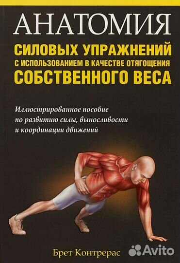 Анатомия силовых упражнений