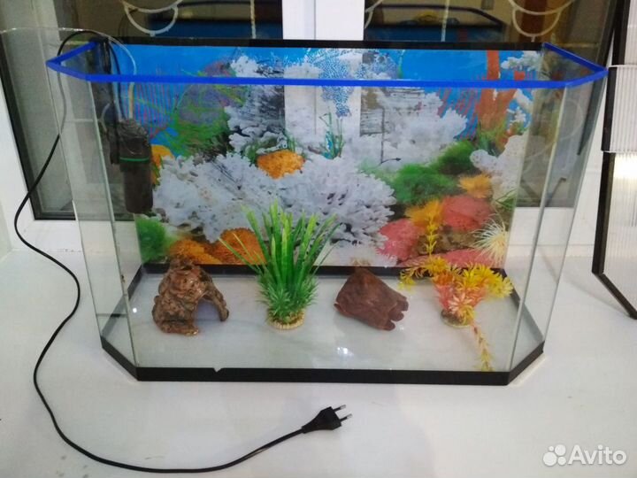 Аквариум 65 л + компрессор + грунт и декорации