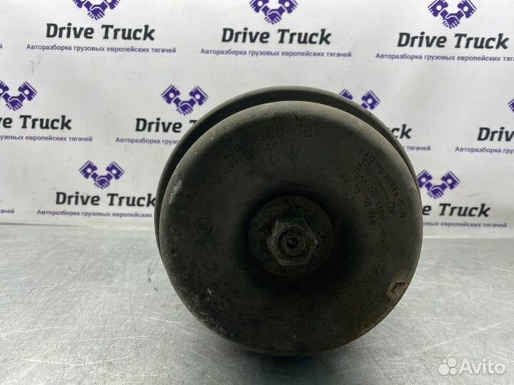 Энергоаккумулятор knorr задний Iveco Stralis