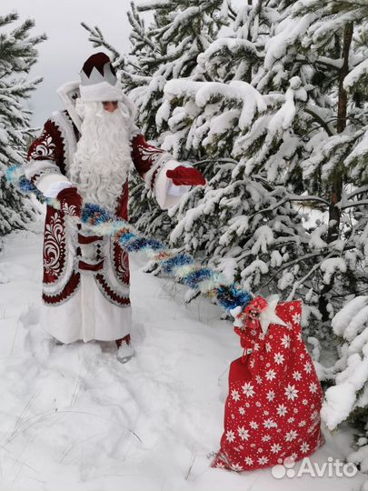 Дед Мороз и снегурочка