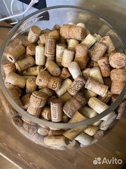 Аквариум рюмка