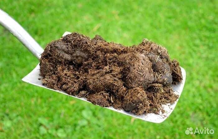 Навоз перегной конский в мешках