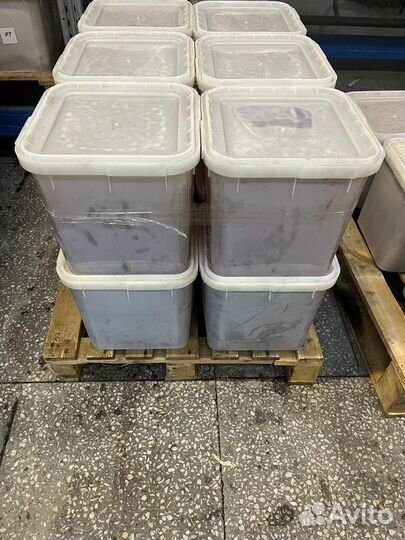 Разнотравье светлое мёд оптом Свежий