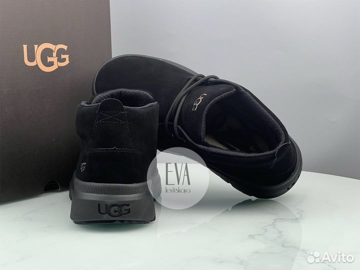 Мужские ботинки Ugg Mens Burleigh Chukka Black