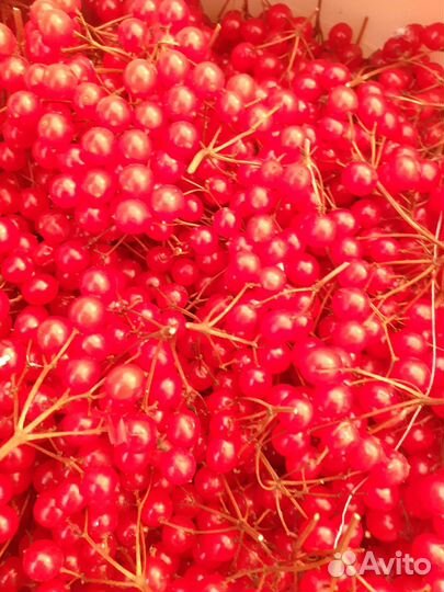 Ягоды замороженные, варенье,соленье, сок