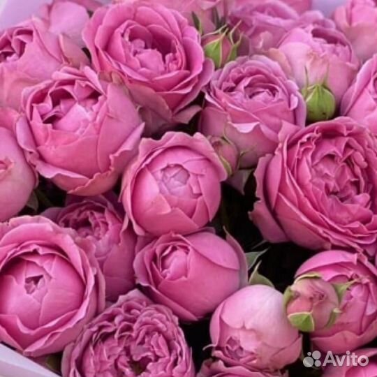 Букет пионовидных роз 