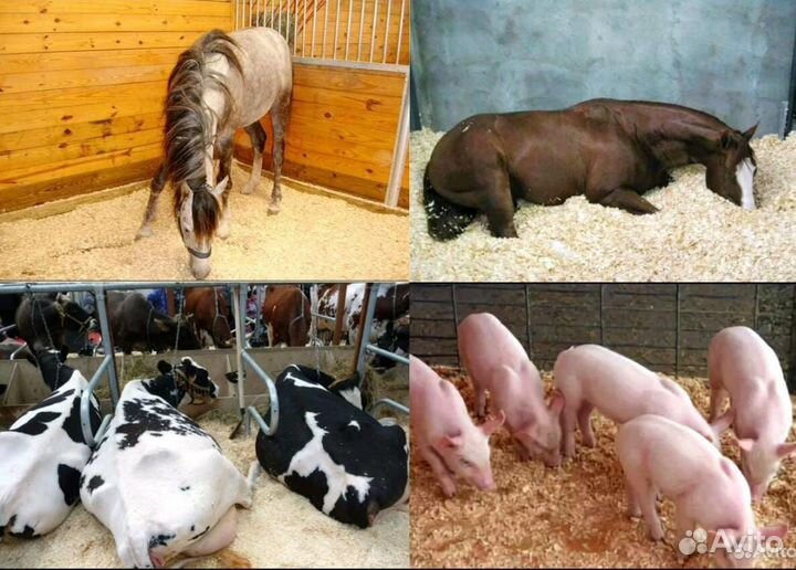 Стружка, опилки