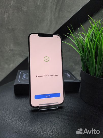 iPhone 12 Pro, 256 ГБ