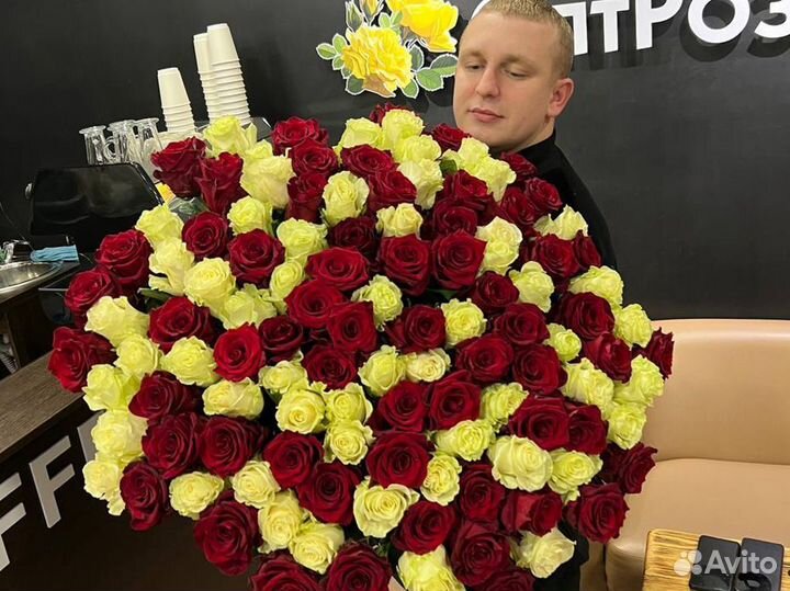 251 Роза Эквадор Доставка 501 151 101 Роза Цветы Б