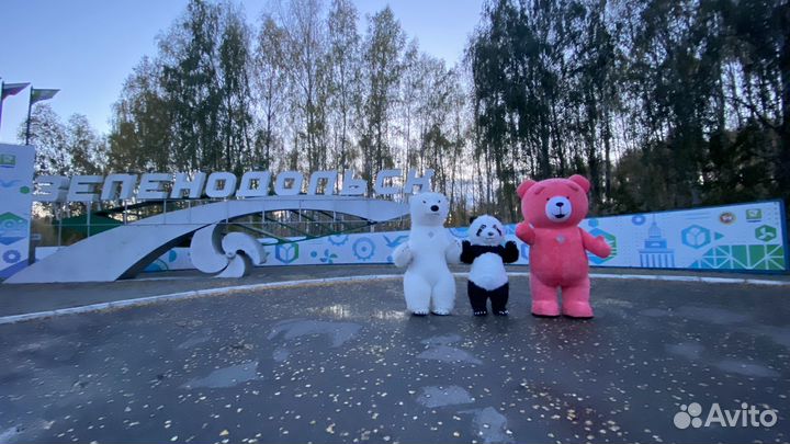 Экспресс поздравление Панда, Белый мишка