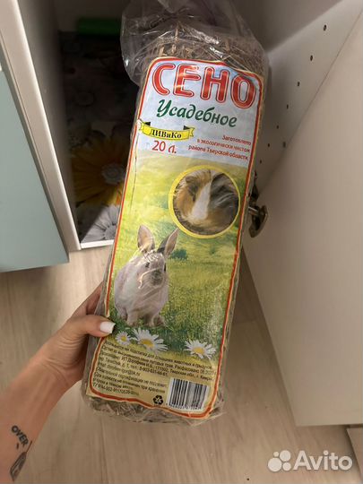 Джунгарский хомяк с клеткой