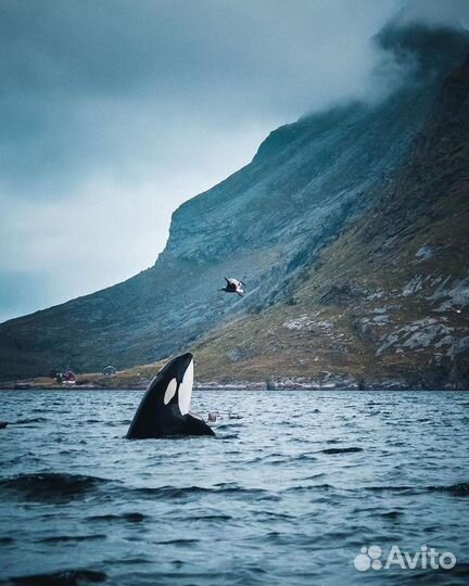 Туризм, Морские прогулки, морская рыбалка