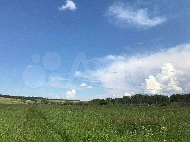 Участок 13,6 га (СНТ, ДНП)