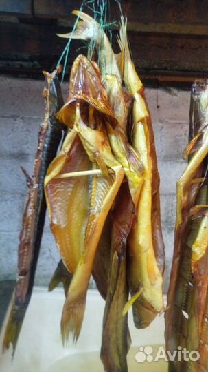 Копчение рыбы