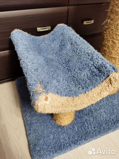 Когтеточка Пушок Мишутик