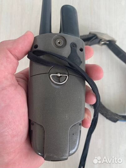 Навигатор garmin astro 220+ошейникdc30