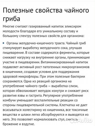 Чайный гриб