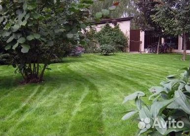 Газон рулонный гарантия