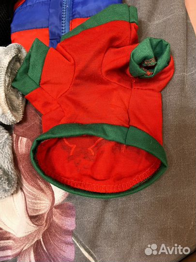 Одежда для собак (чихуахуа )