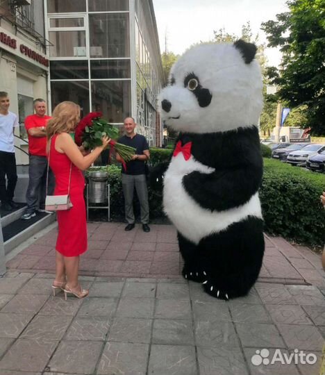 Поздравление от Панды, Мишки