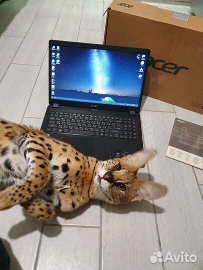 Мощный, Ryzen 5. озу 12гб. Видеокарта 4гб