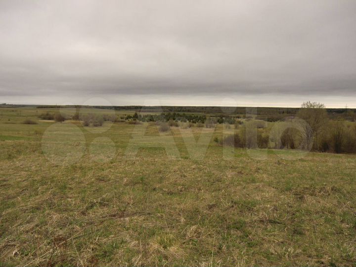 Участок 50 сот. (ИЖС)