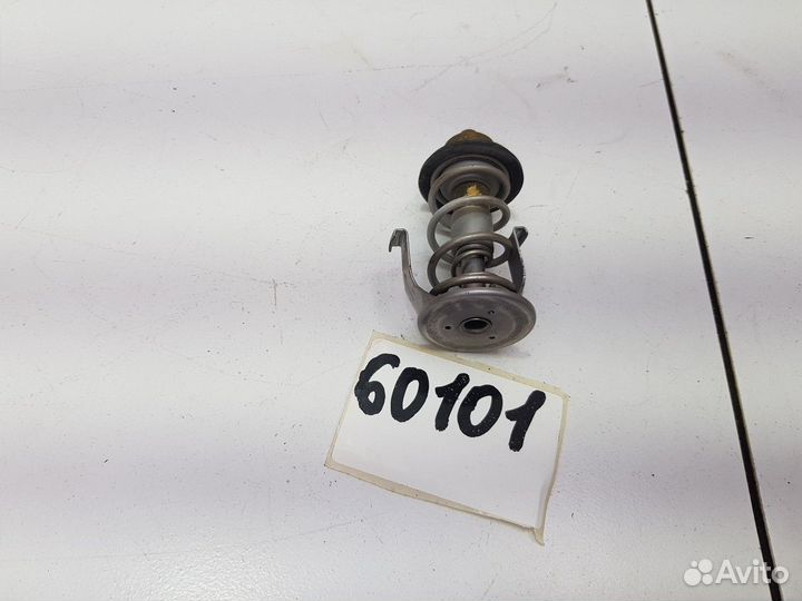 Термостат (Chery Tiggo 7 Pro)