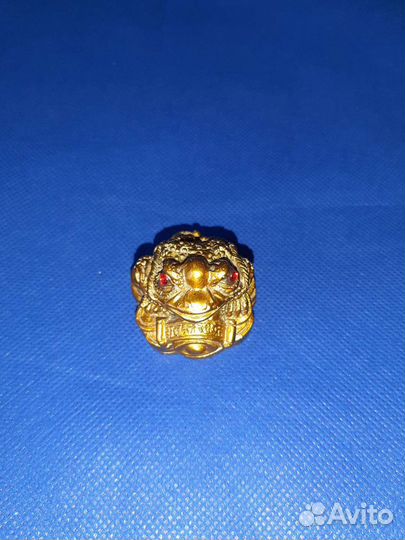 Жаба денежная