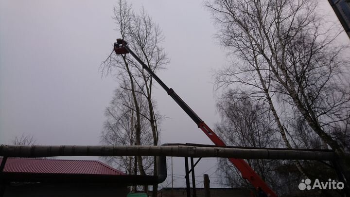 Спил деревьев, расчистка участков