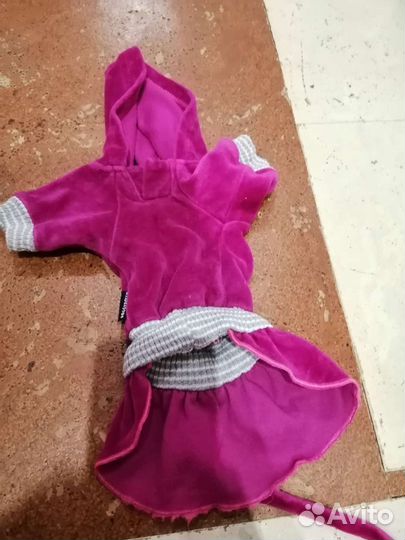 Одежда для маленьких собак s