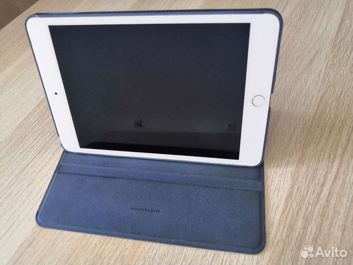 iPad mini 4 cellular