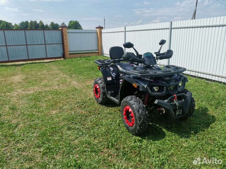 Avantis hunter 200 big lux