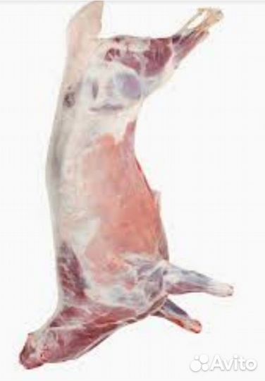 Мясо баранина, козлятина