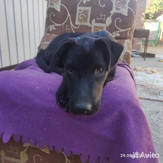 Мальчик Веня ищет дом