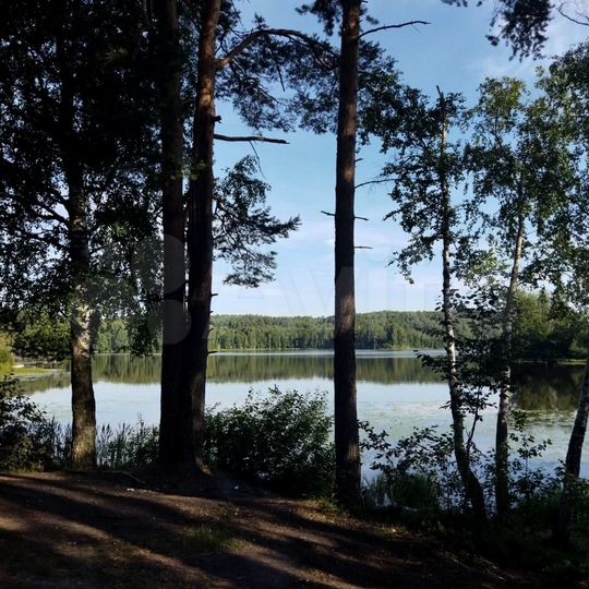 Участок 7 сот. (СНТ, ДНП)