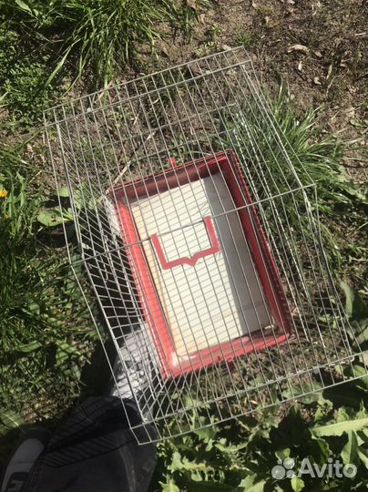 Клетка для попугая