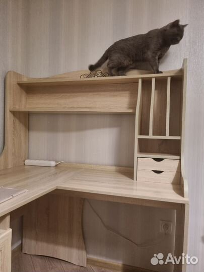 Компьютерный регулируемый стол + полка