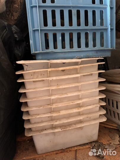 Пластиковые ящики для хранения овощей